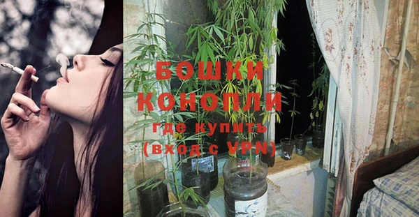 гидра Зеленодольск