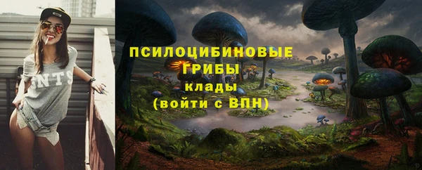 ALPHA PVP Верхний Тагил