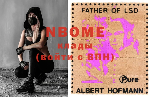 шишки Инсар