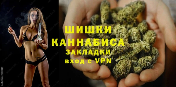 PSILOCYBIN Иннополис