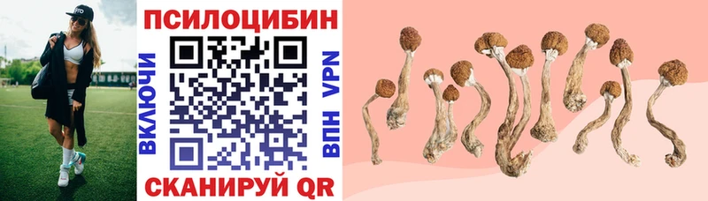 где купить наркоту  Ворсма  Галлюциногенные грибы Magic Shrooms 